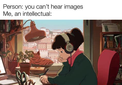 lofi hip hop radio beats to relax study to meme|More.